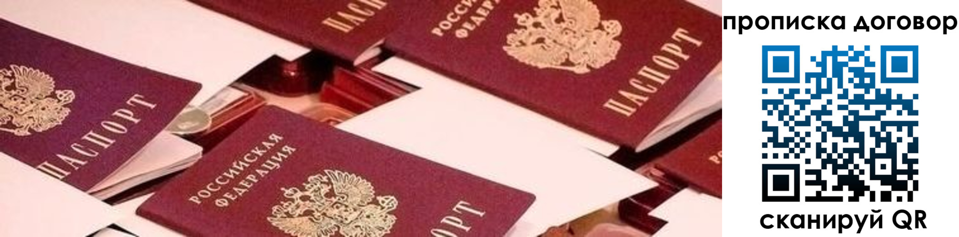 прописка для школы в Болотном
